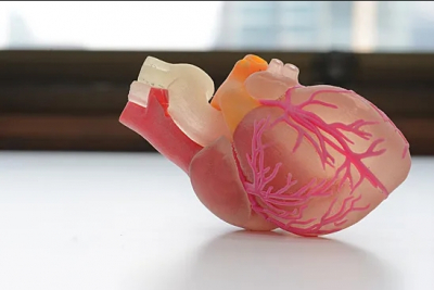 JAMA: стероиды помогают безопасно проводить иммунотерапию рака у пациентов после трансплантации органов