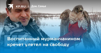 Орлы взмыли ввысь и улетели прочь