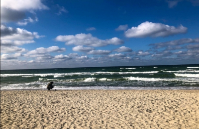 Совфед напомнил Швеции о Полтавской битве после заявлений о праве Стокгольма на Балтийское море