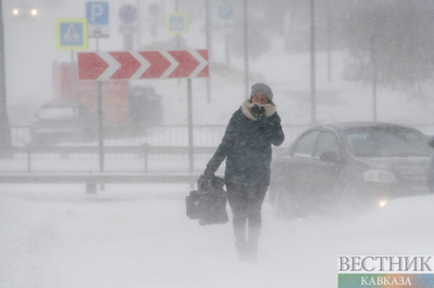 Снег и сильный ветер до 18 м/с накроют Москву 8 и 9 января