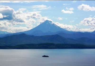 Роспотребнадзор предупреждает о раннем начале сезона клещей и росте смертности от клещевого энцефалита
