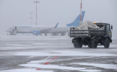 "Человек, который видел медведя, который видел человека" — премьера 7 января в Okko