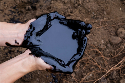 Индийские государственные НПЗ продолжают закупать российскую нефть — ANI