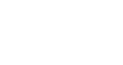 Московские ветеринары спасли жизнь пожилой собаке с воспалением матки