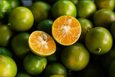 Pravda.Ru: Каламондин помогает снизить уровень сахара и укрепить иммунитет