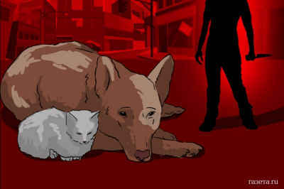 Тайные создатели жестоких Telegram-каналов: кто они на самом деле?